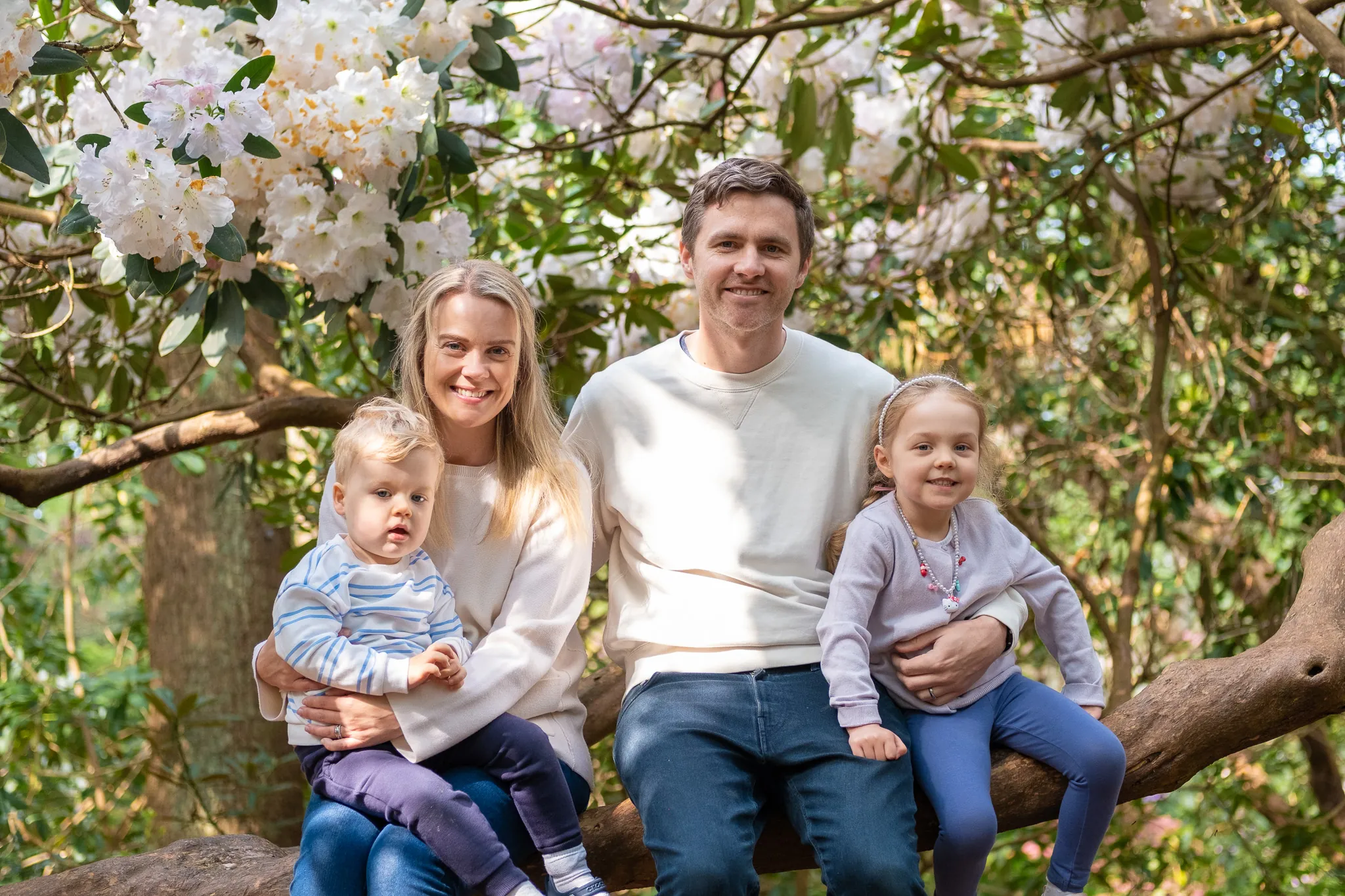 family of four for photoshoot in park, sitting on a tree