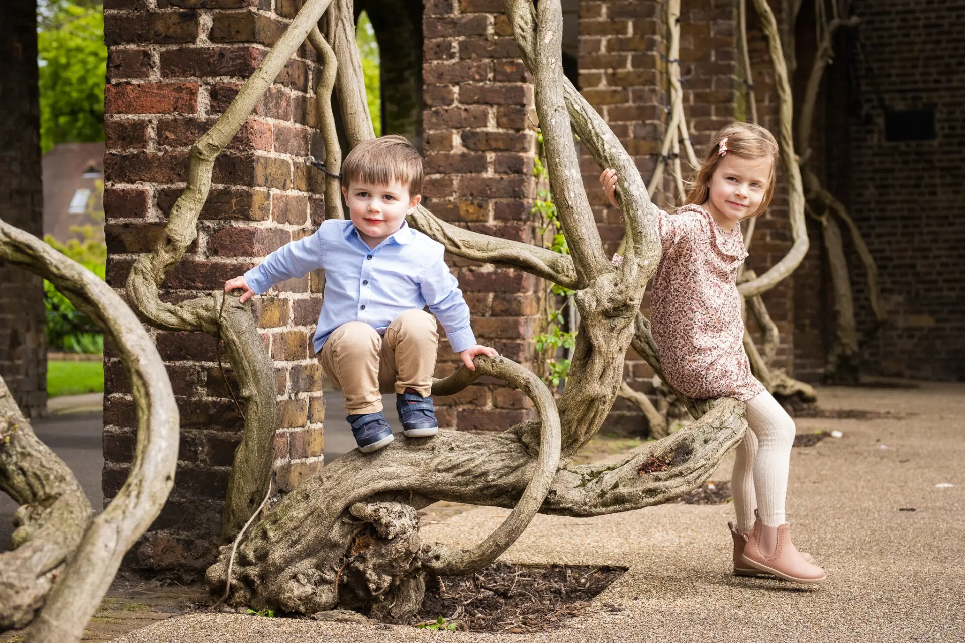 Two kids, seating on a tree