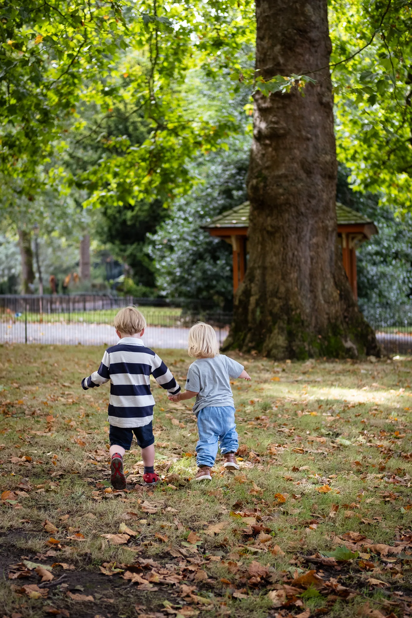 Brother and sister holding hands and walking in a park