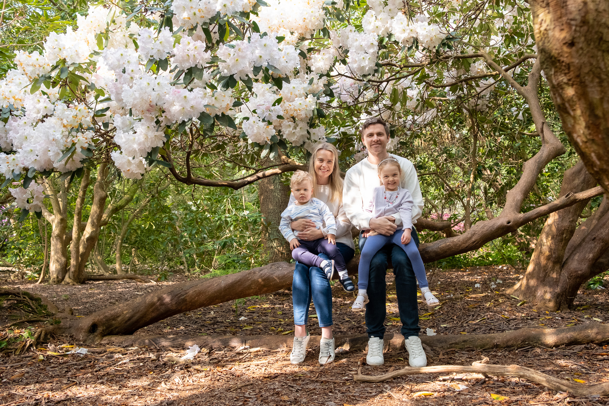 Family of four sitting on a tree, enjoying a sunny day at The isabella plantation in Richmond park